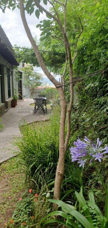 Los Tarcos Guest House San Salvador de Jujuy Exterior photo